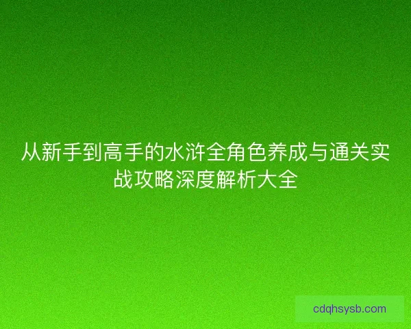 从新手到高手的水浒全角色养成与通关实战攻略深度解析大全