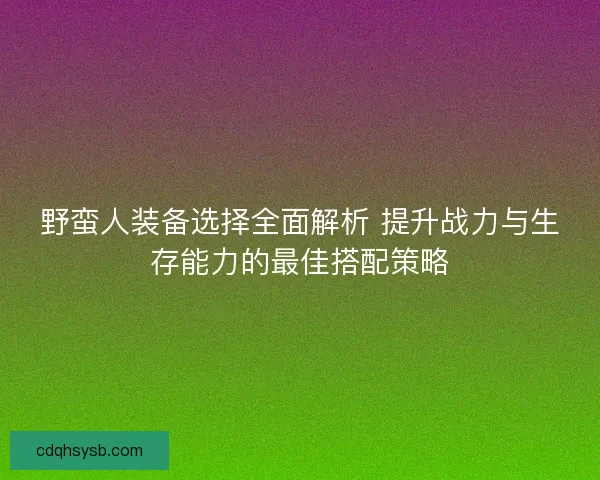 野蛮人装备选择全面解析 提升战力与生存能力的最佳搭配策略