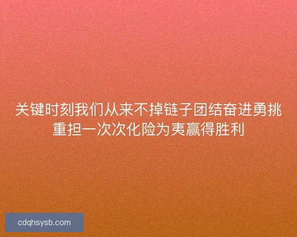 关键时刻我们从来不掉链子团结奋进勇挑重担一次次化险为夷赢得胜利