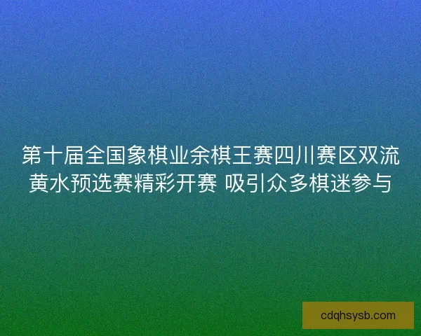 第十届全国象棋业余棋王赛四川赛区双流黄水预选赛精彩开赛 吸引众多棋迷参与