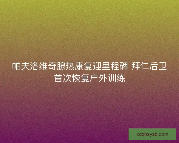 帕夫洛维奇腺热康复迎里程碑 拜仁后卫首次恢复户外训练